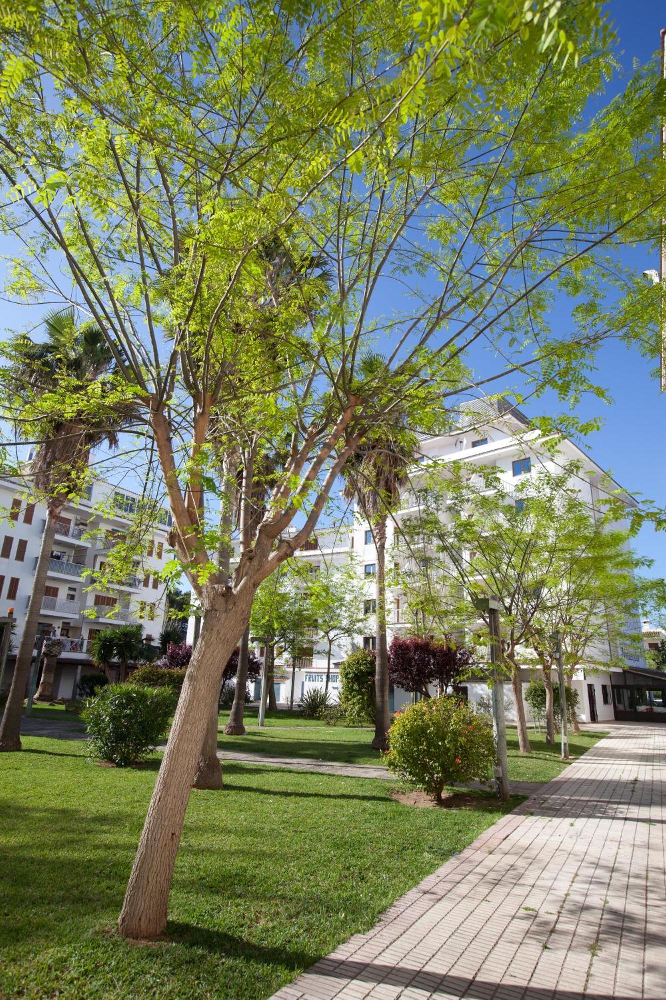 Appart hôtel Ferrer Lime Tamarindos 3*